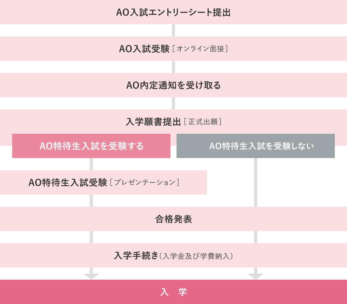 出願〜入学までの流れの図
